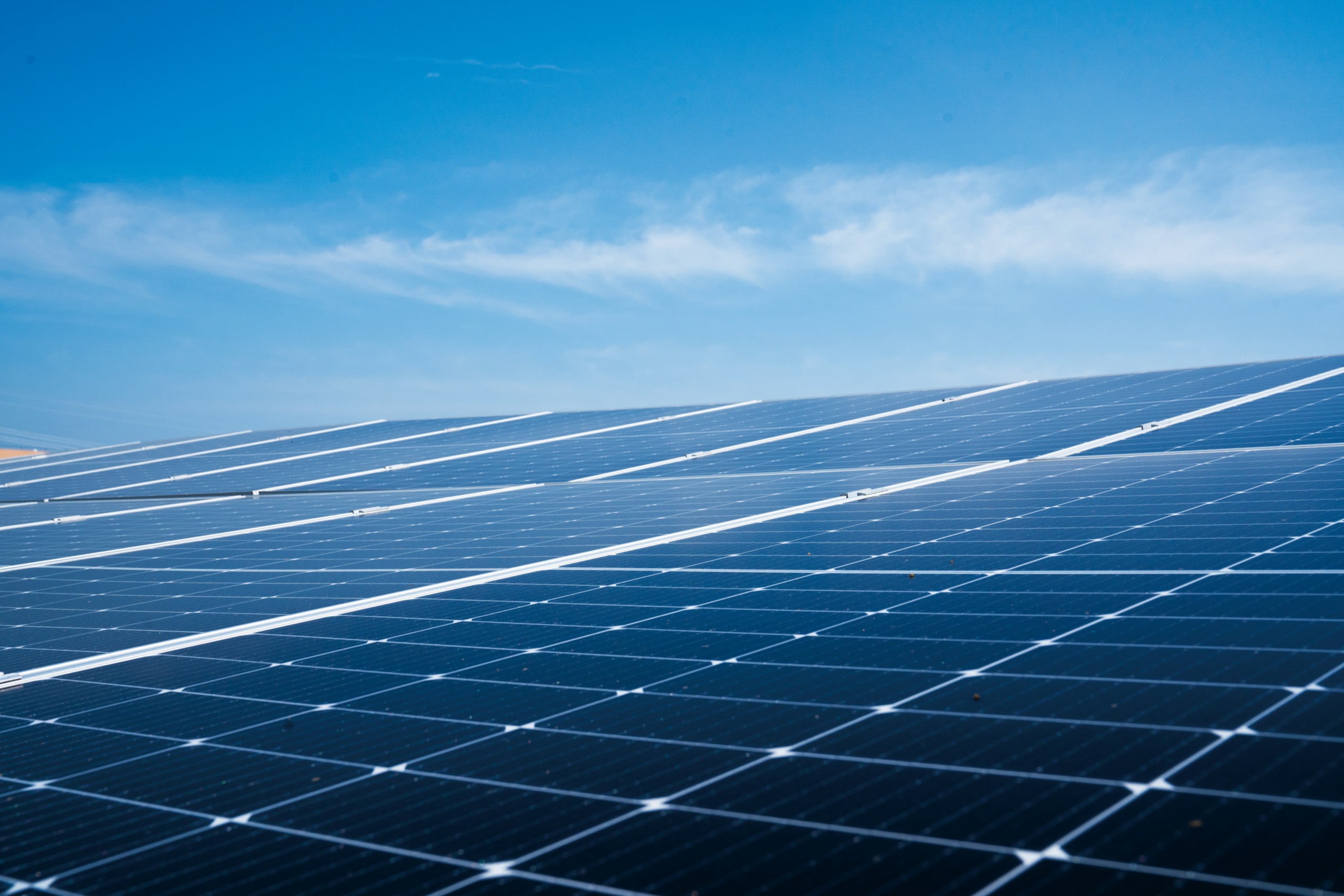 Rooftop solar array on the Aquapotic facility
